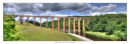 1468 Leaderfoot Viaduct 2 880 x 297