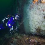 Wall of a sea loch