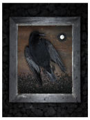 Crow's Still Life