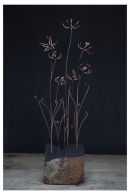 Waste Ground II