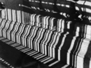 shadows