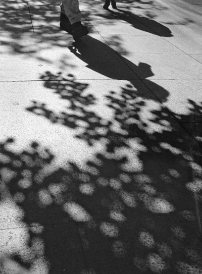 leafy walk