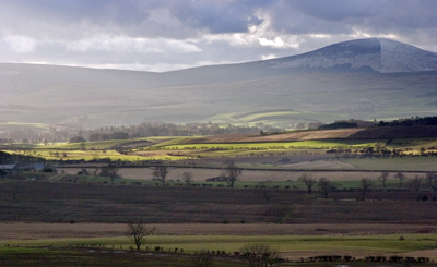 Cheviot sun