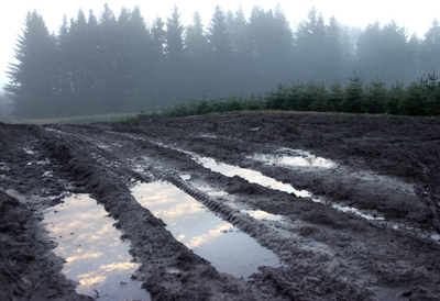 misty morning Kinbuck