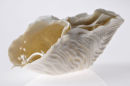 Carved porcelain Sea Form  SOLD