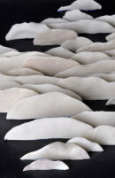 Trapped Edges, (detail)