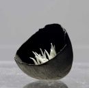 Contrast enclosed fronds SOLD