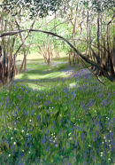Bluebells and Wood Anemones. 