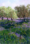 Landscape with Bluebells, Dorset. 