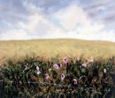 Cobb's Field.Dorset.