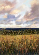 Evening with Wild Oats 