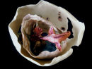 Enclosed Fish. SOLD