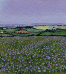 Landscape with Linseed.Dorset. 