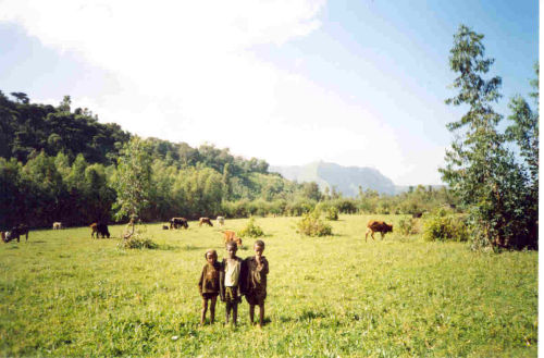 new school site