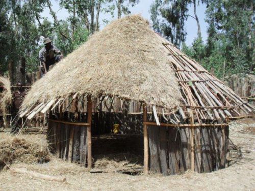 making the thatched roof