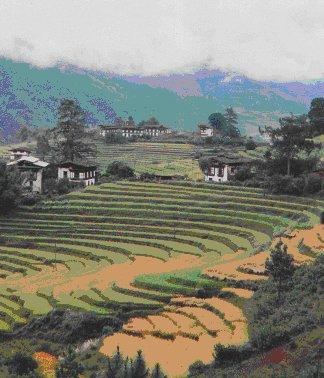 Bhutan terraces