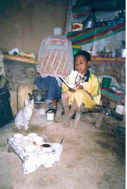 boy reading Dusty - the Little Ethiopian Donkey donated by The Donkey Sanctuary