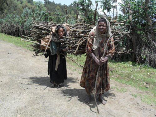 women bringing firewood to Debark