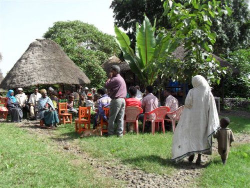 parents visit the school