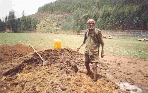 mixing mud and straw for rendering the walls