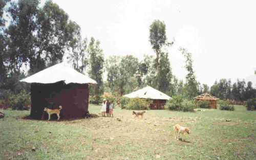 the new buildings
