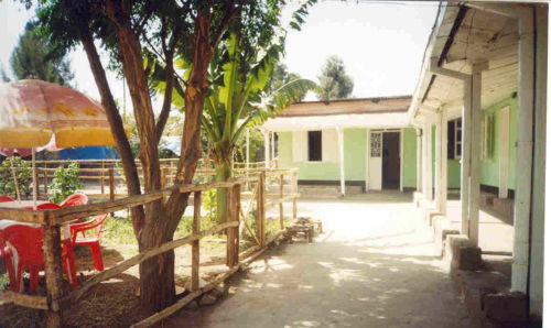 Tara offices