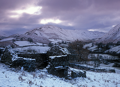 Snowy Boardale 