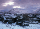 Snowy Boardale 