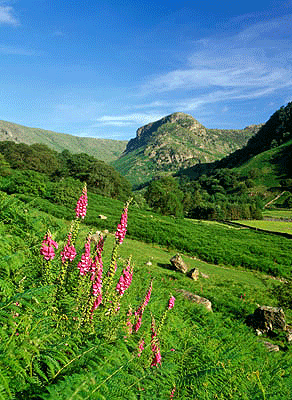 Eagle Crag