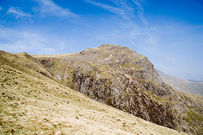 Great Knott