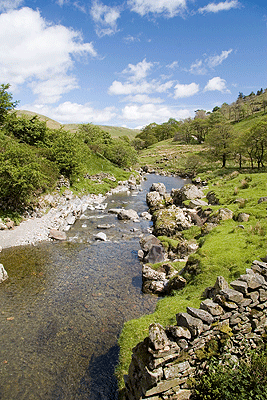 Looking east along Borrow Beck