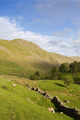 Gray Crag