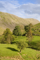 Threshthwaite Glen