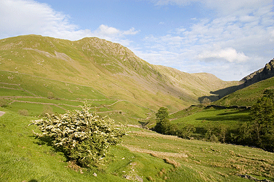 Gray Crag