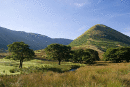 The Nab, Martindale