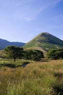 The Nab, Martindale