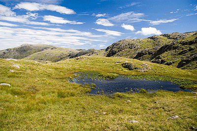 Allan Crags