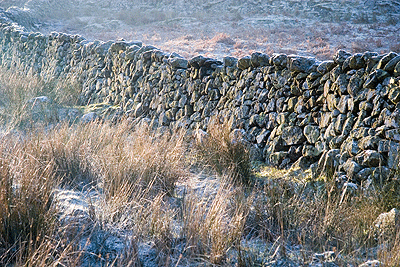 Frosted Drystone Wall near Tewet Tarn