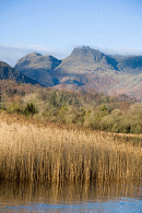 Langdale Pikes across Elterwater