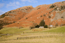 Lingmoor
