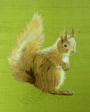 Silk Shaded Squirrel by Marina Berts