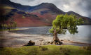 Windblown on Buttermere