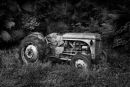Tractor in the Rainforest