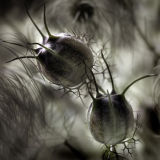 2010 Professional Photography�s National Photographic Awards.