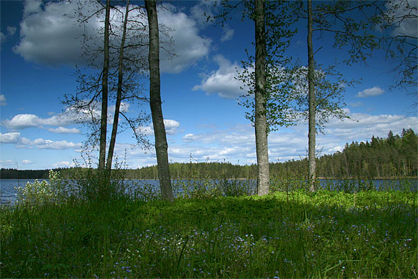 Lakes & Woods