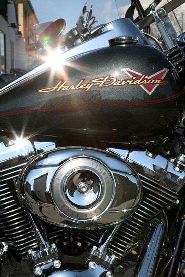 Harley Davidson with some flare!