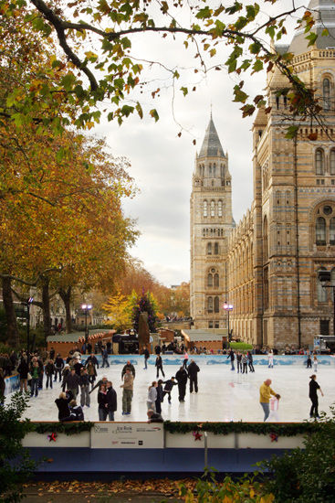 Ice Skating, Natural History Museum (1)