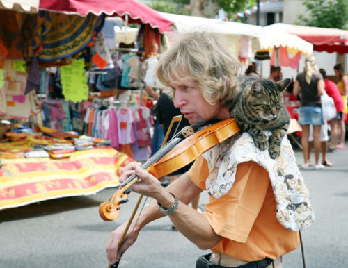 Street busker with cat, Provence, France