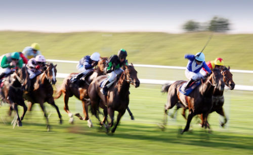 Race at the July Course, Newmarket, Suffolk