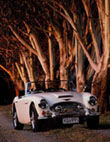 AUSTIN HEALEY